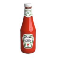 Bottle of Ketchup